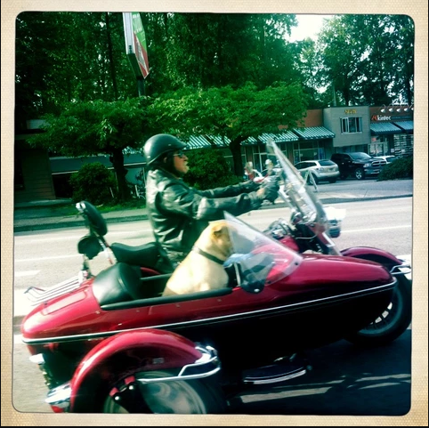 Man's best Friend